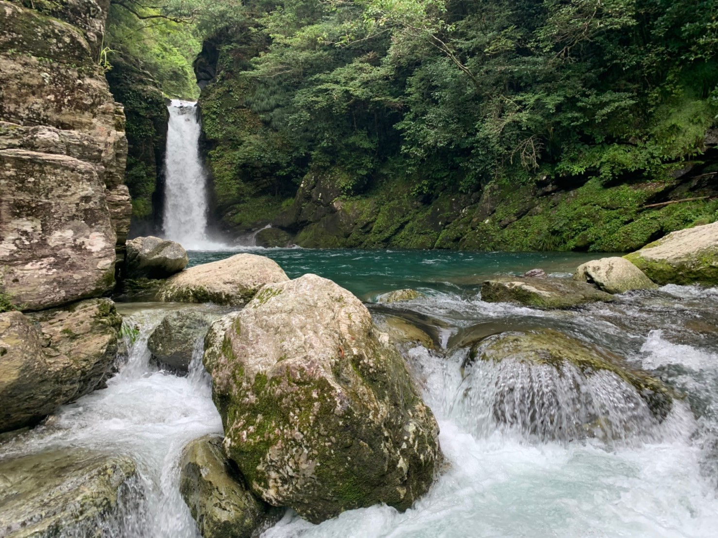 社員旅行　高知