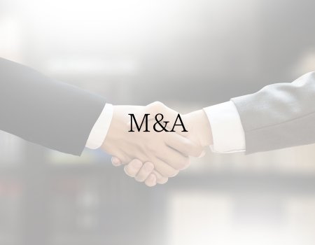 service_m&a